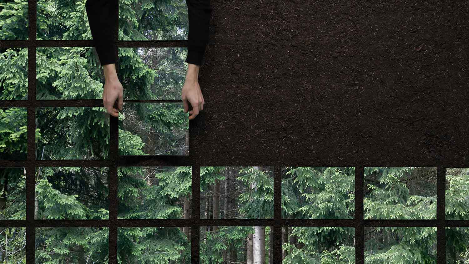 cambio-by-formafantasma