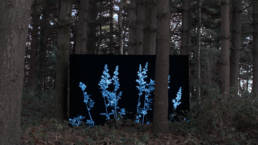 cambio-by-formafantasma