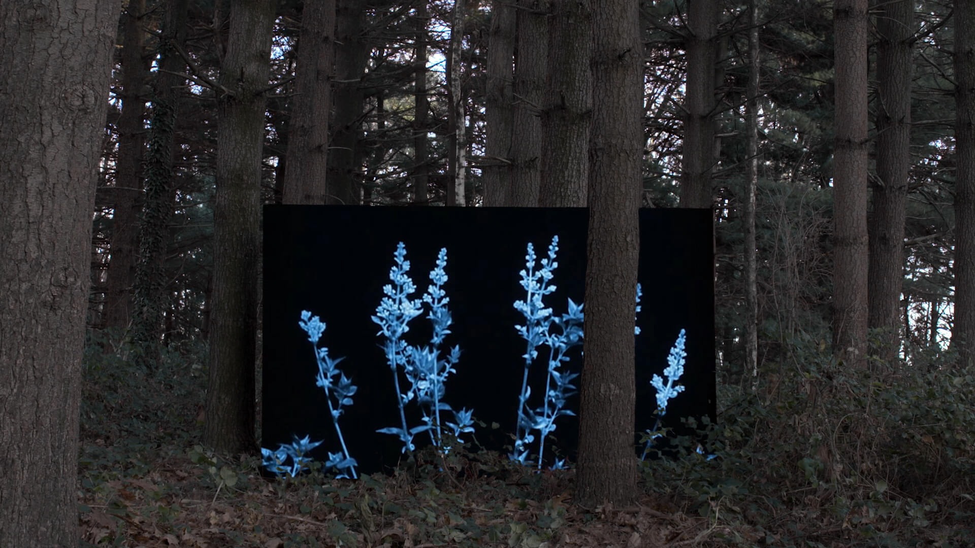 cambio-by-formafantasma