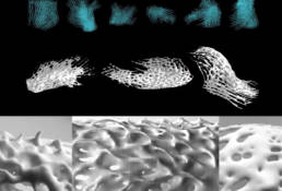 fungi-futures, somerset house, london