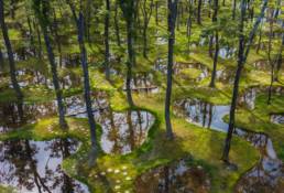 Obel Award 2019 - Art Biotop Water Garden