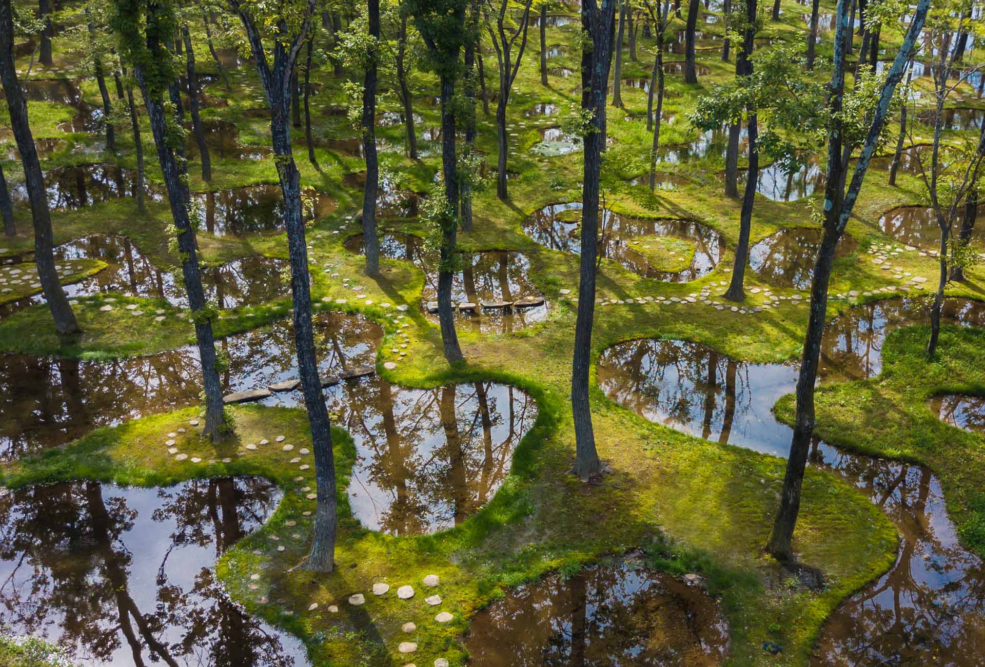 Obel Award 2019 - Art Biotop Water Garden