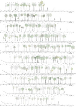 Obel Award 2019 - Art Biotop Water Garden