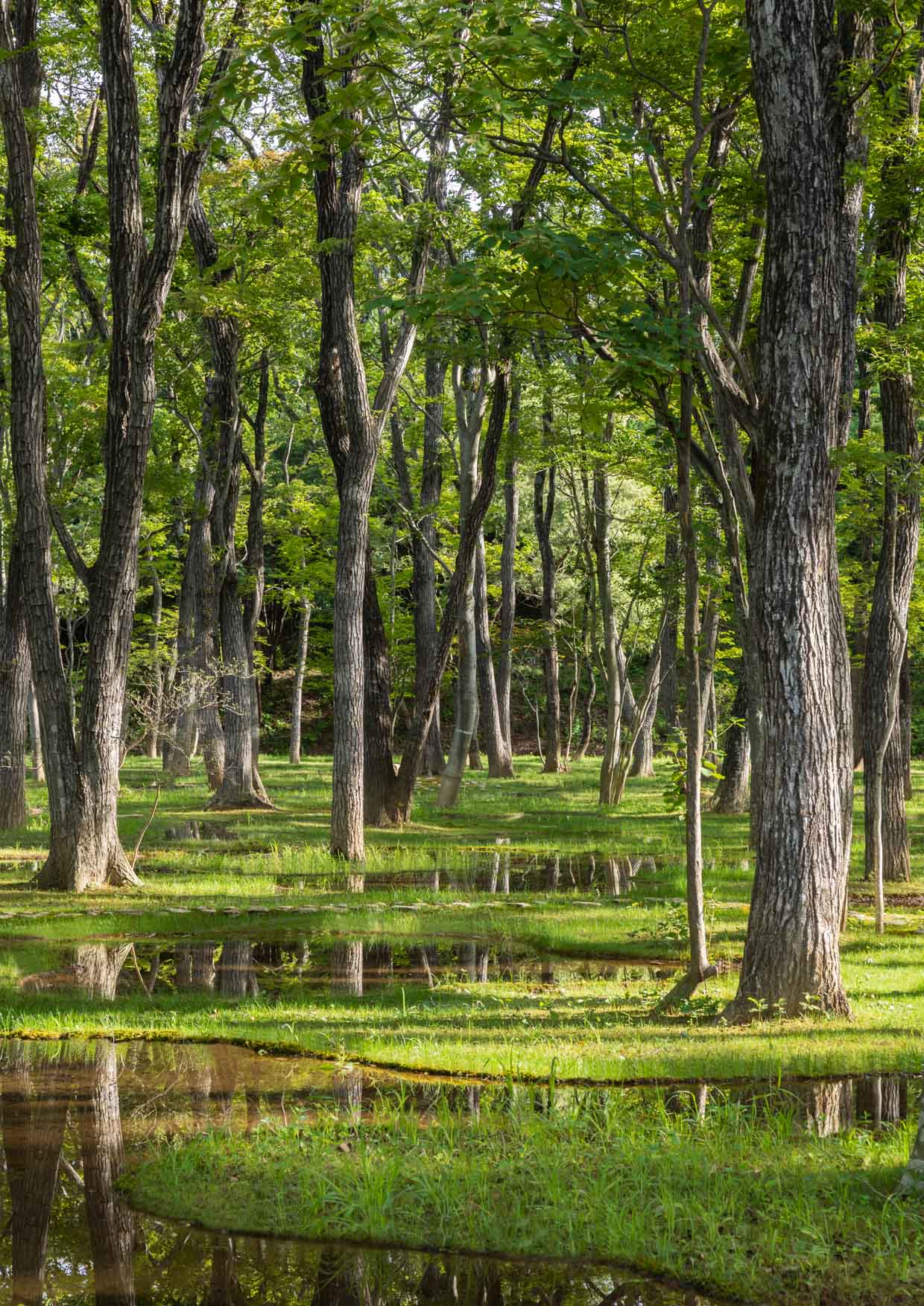 Obel Award 2019 - Art Biotop Water Garden