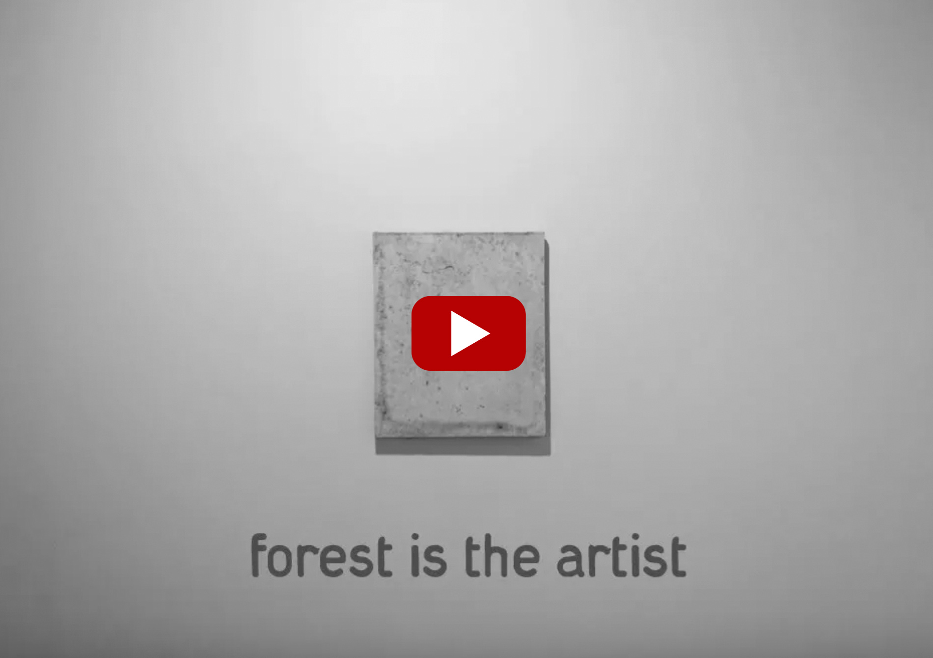 Patrick M. Lydon, Forest is the Artist, Symbioscene, Symbiocene