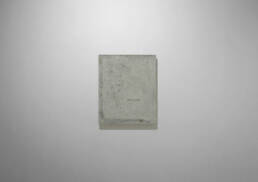 Patrick M. Lydon, Forest is the Artist, Symbioscene, Symbiocene