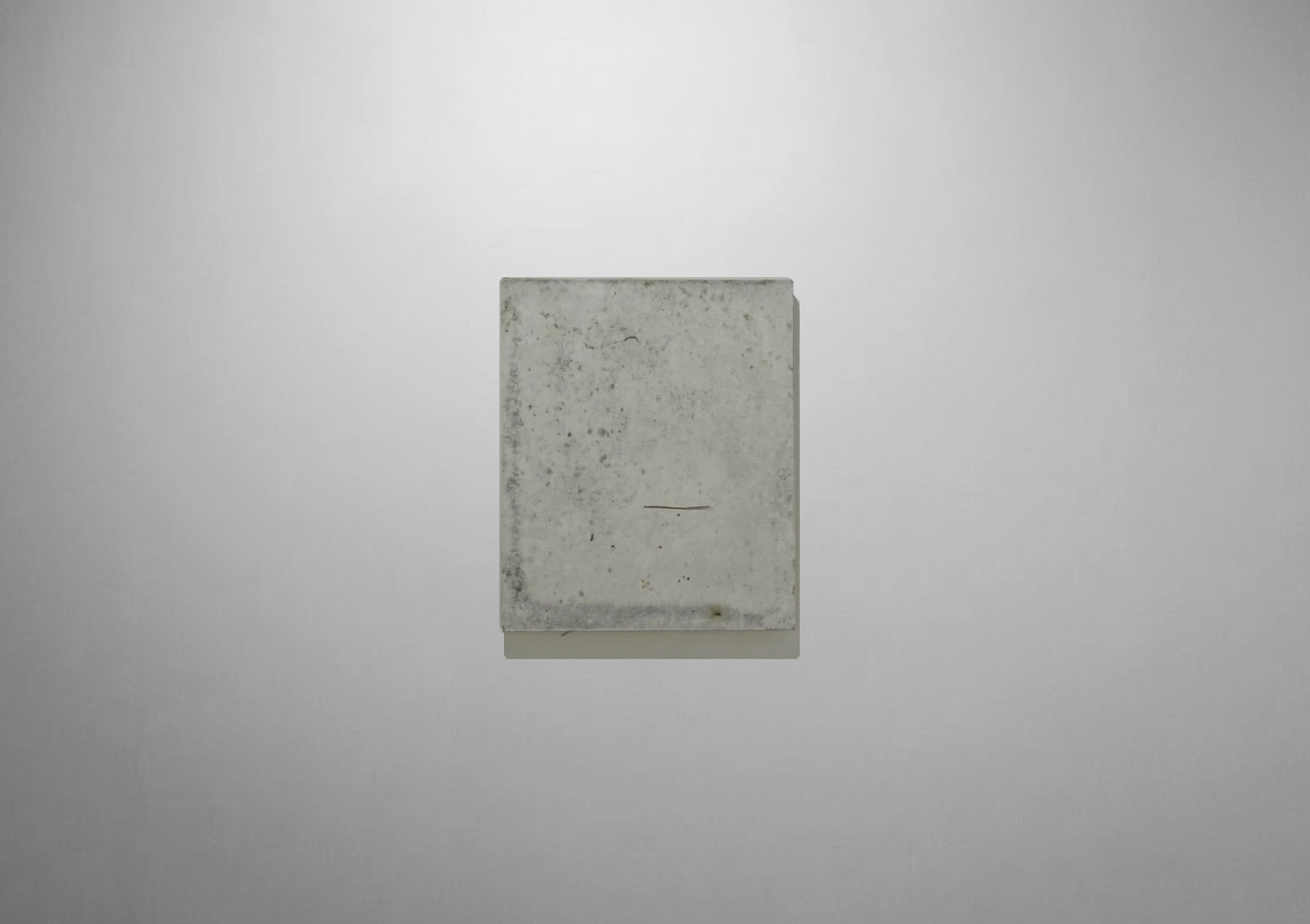 Patrick M. Lydon, Forest is the Artist, Symbioscene, Symbiocene