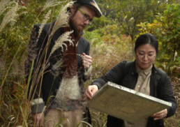 Patrick M. Lydon, Forest is the Artist, Symbioscene, Symbiocene