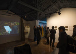 Patrick M. Lydon, Forest is the Artist, Symbioscene, Symbiocene