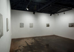 Patrick M. Lydon, Forest is the Artist, Symbioscene, Symbiocene