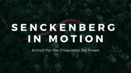 Symbio(s)cene, Senckenberg, Prof. Oliver Szasz, Tina Heger, Ingrid Ruegemer