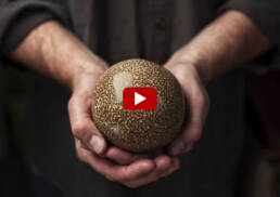 Bruce Gardner, Dorodango