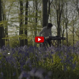 Cosmo Sheldrake, Evening Chorus