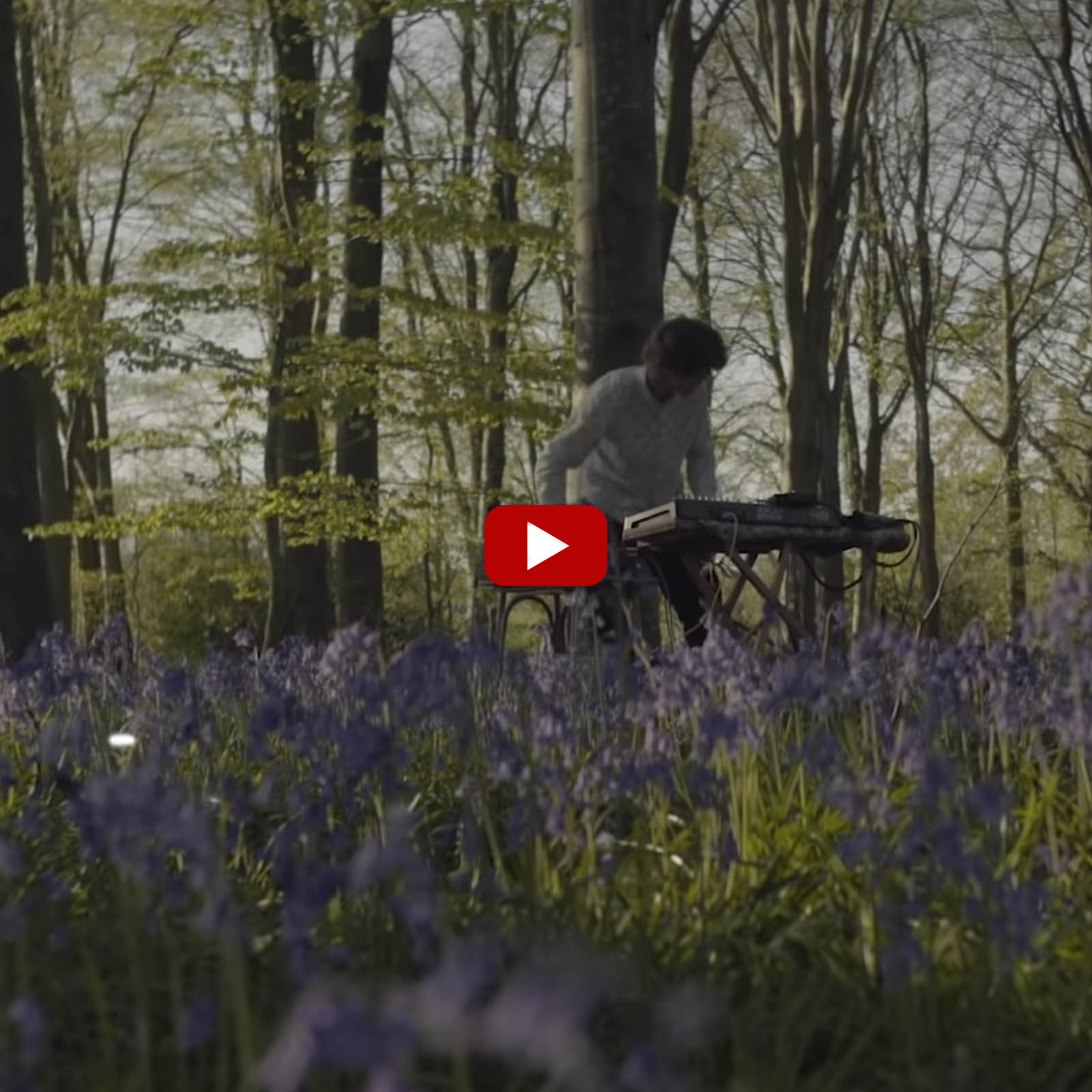 Cosmo Sheldrake, Evening Chorus