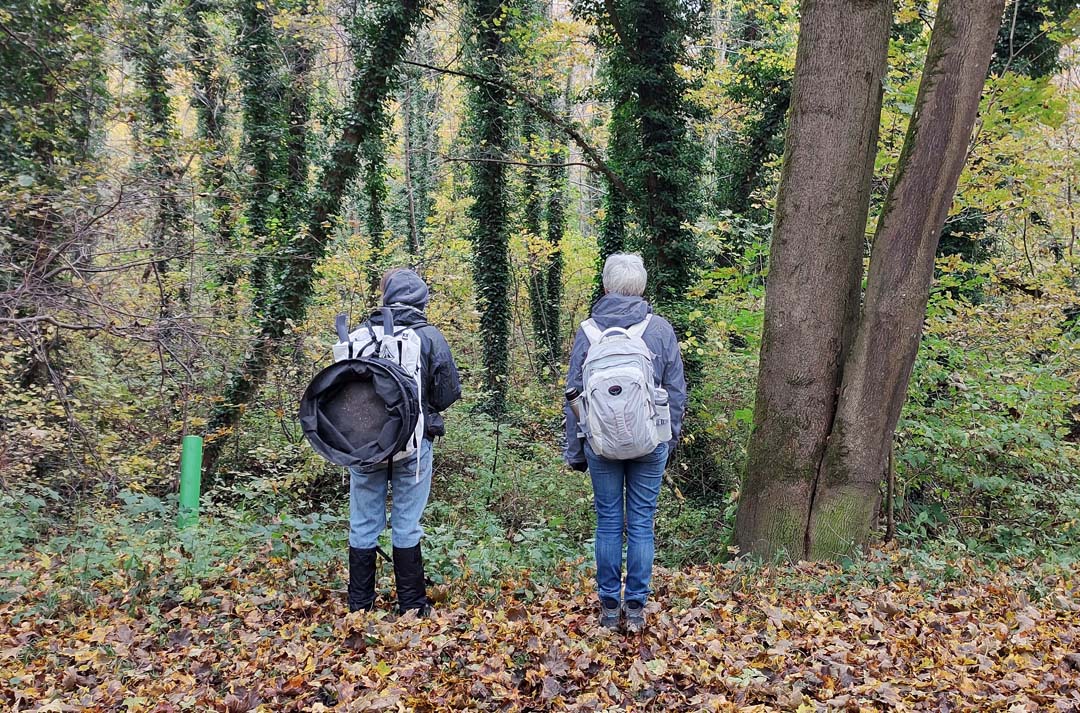 Riitta-Ikonen+Karoline-Hjorth, Symbio(s)cene, symbiocene, Art-Science Collaboration