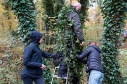 Riitta-Ikonen+Karoline-Hjorth, Symbio(s)cene, symbiocene, Art-Science Collaboration, Rachel Carson Center