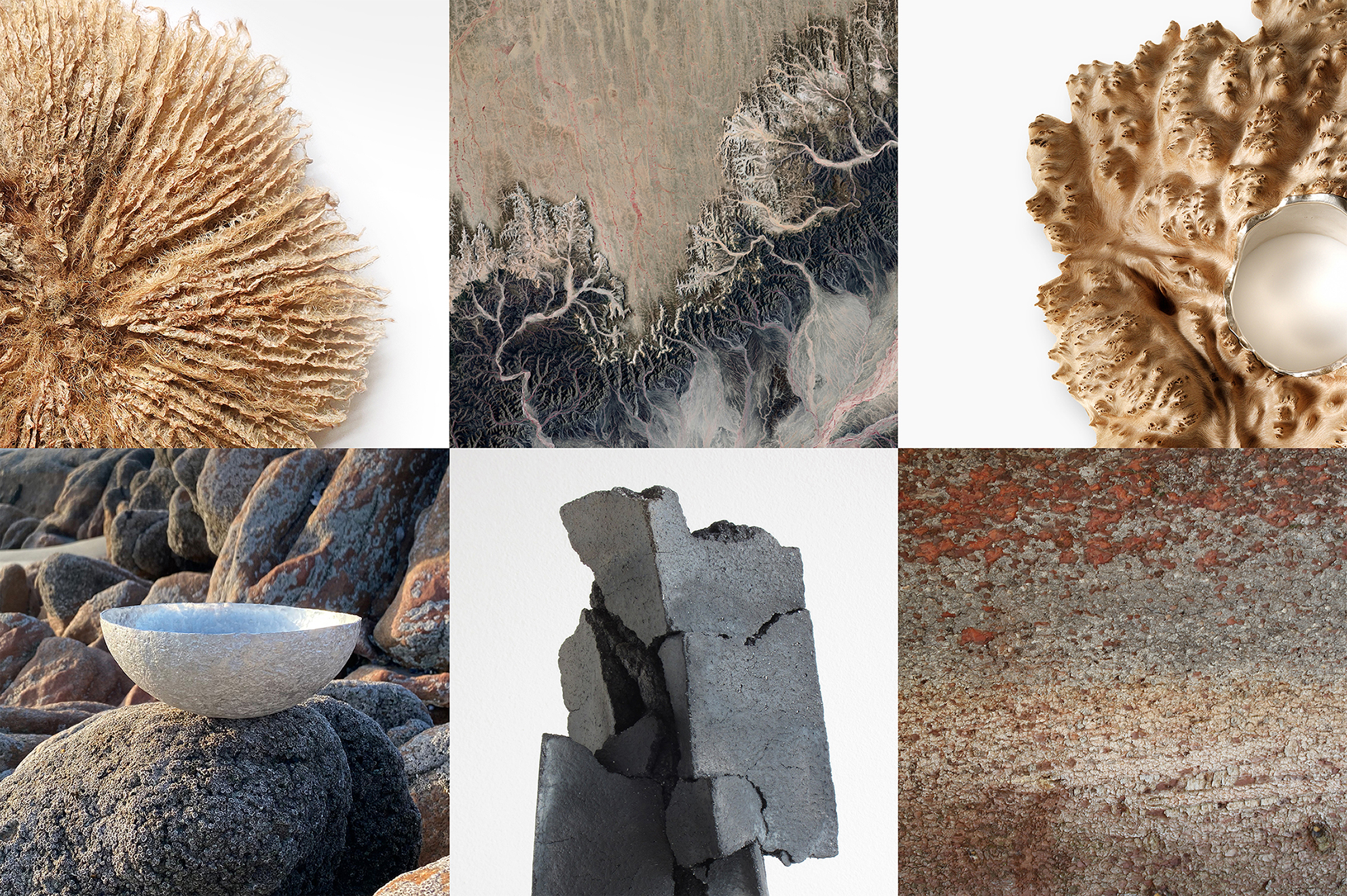 Matter Moves Mind, Curation Ingrid Ruegemer