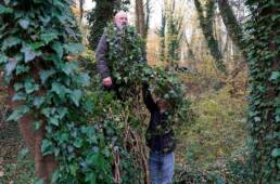 Riitta-Ikonen+Karoline-Hjorth, Symbio(s)cene, Art-Science Collaboration