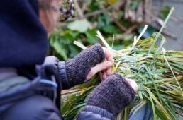 Riitta-Ikonen+Karoline-Hjorth, Symbio(s)cene, Art-Science Collaboration