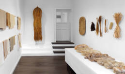 Phytophilia, Sara Martinsen, Symbiocene, Symbio(s)cene, Culturesphere, Ingrid Ruegemer