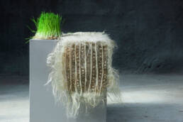 Zena Holloway - Rootful, Ingrid Ruegemer, Symbioscene, Symbiocene