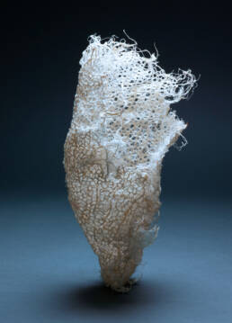 Zena Holloway - Rootful, Ingrid Ruegemer, Symbioscene, Symbiocene