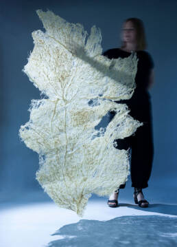 Zena Holloway - Rootful, Ingrid Ruegemer, Symbioscene, Symbiocene