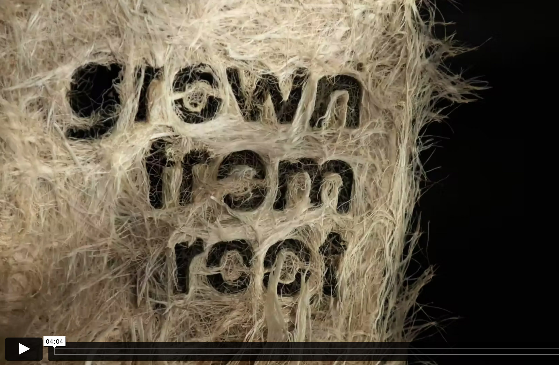 Zena Holloway - Rootful, Ingrid Ruegemer, Symbioscene, Symbiocene