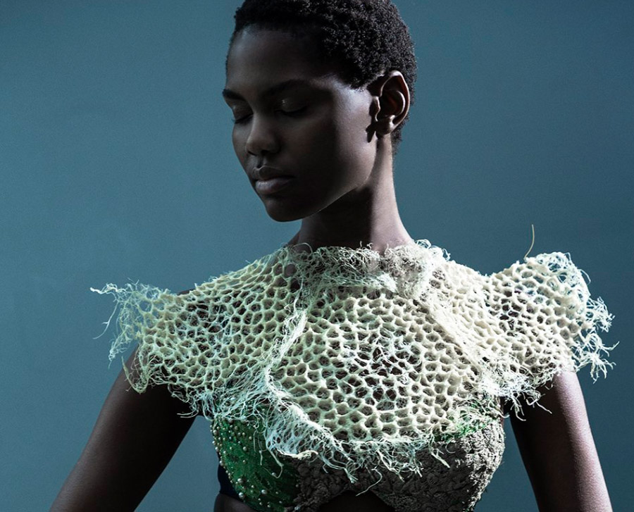 Zena Holloway - Rootful, Ingrid Ruegemer, Symbioscene, Symbiocene