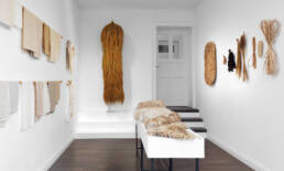 Phytophilia, Sara Martinsen, Symbiocene, Symbio(s)cene, Culturesphere, Ingrid Ruegemer