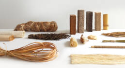 Phytophilia, Sara Martinsen, Symbiocene, Symbio(s)cene, Culturesphere, Ingrid Ruegemer