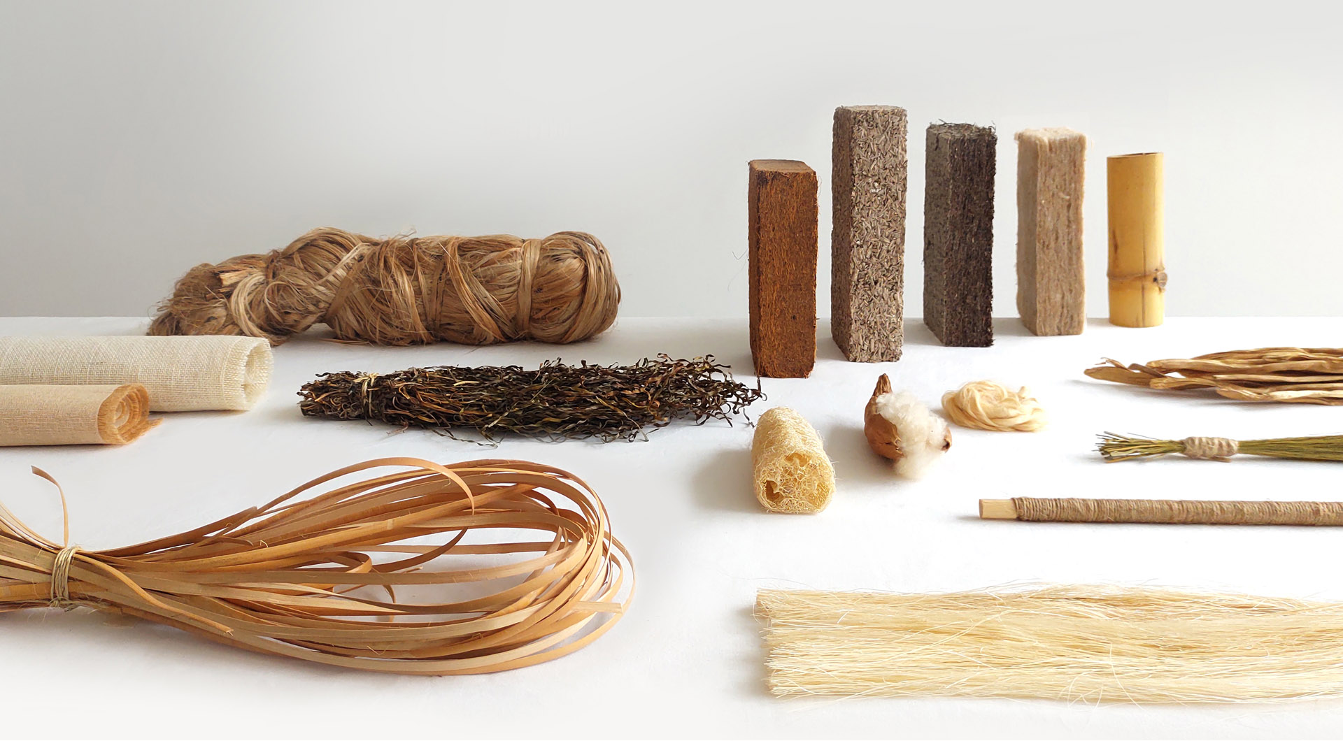 Phytophilia, Sara Martinsen, Symbiocene, Symbio(s)cene, Culturesphere, Ingrid Ruegemer