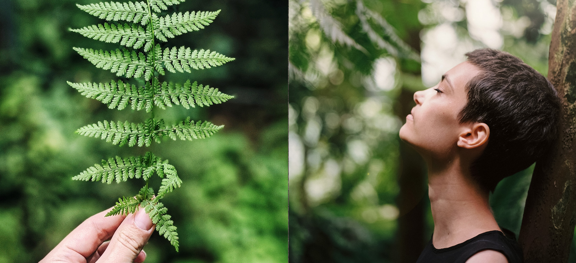 MA Responsible Fashion, istituto_marangoni, Dr. Kirsten Scott, Symbiocene, Symbioscene