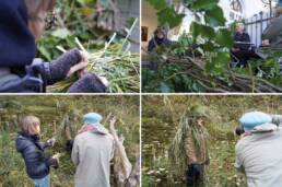 Riitta-Ikonen+Karoline-Hjorth, Symbio(s)cene, symbiocene, Art-Science Collaboration