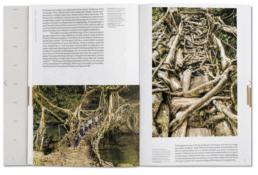 Julia Watson, Lo–TEK: Design by Radical Indigenism