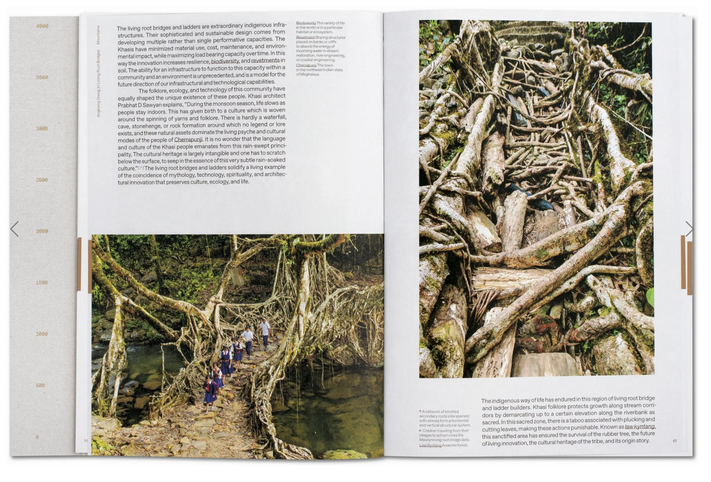 Julia Watson, Lo–TEK: Design by Radical Indigenism