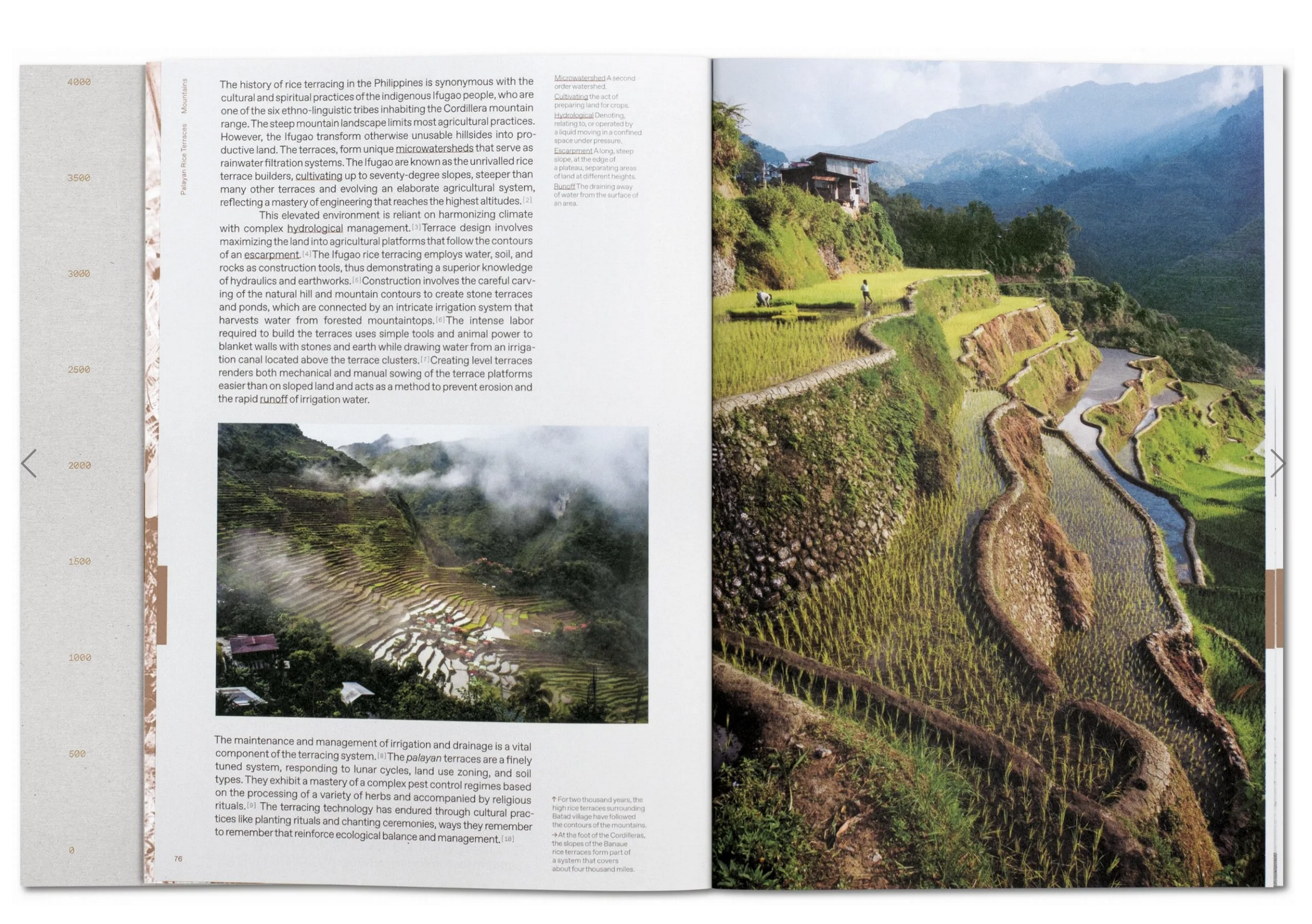 Julia Watson, Lo–TEK: Design by Radical Indigenism