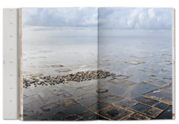 Julia Watson, Lo–TEK: Design by Radical Indigenism