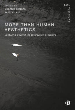 More-Than-Human Aesthetics: Venturing Beyond the Bifurcation of Nature; Prof. Oliver Szasz, Anthrotopia