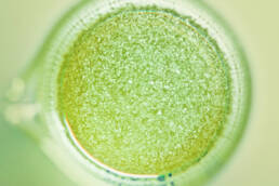 biomaterials, archive, anthrotopia, Ingrid Ruegemer, Prof. Oliver Szasz